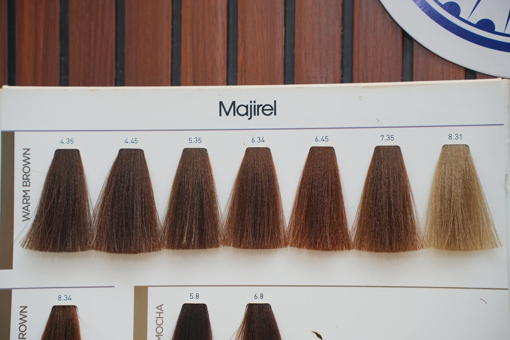 Hair color shade swatches at the salon